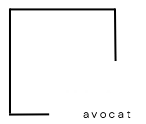 Logo de Quentin Vrilliaux, avocat en droit immobilier à Vincennes